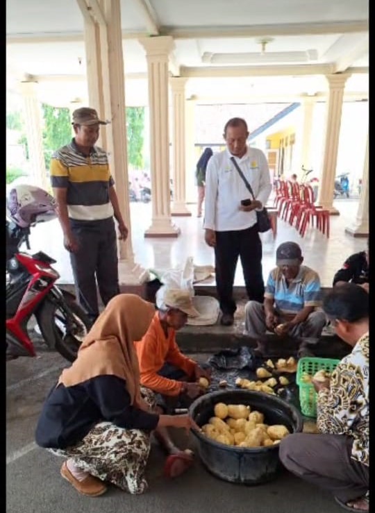 Pembuatan APH Phaenibacillus Polymixa